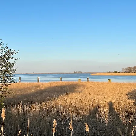 5 Sterne Ostseenest Mit Boddenblick *