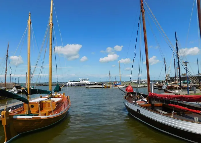 펜션 5 Sterne Ostseenest Mit Boddenblick