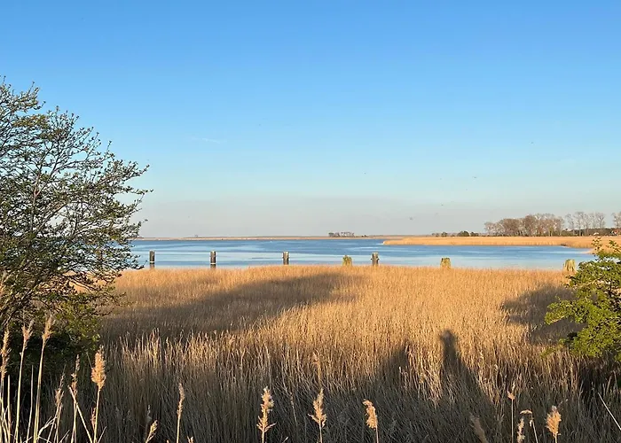 5 Sterne Ostseenest Mit Boddenblick *